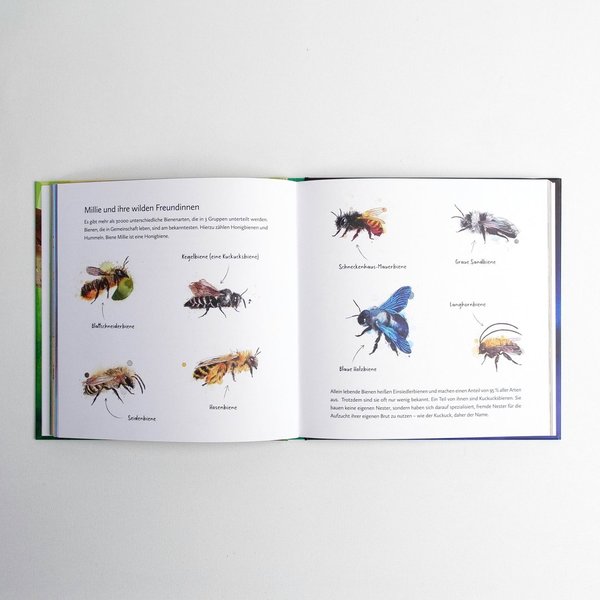 Bienenabenteuer "Der große Sammelband mit Naturwissen für Kinder"