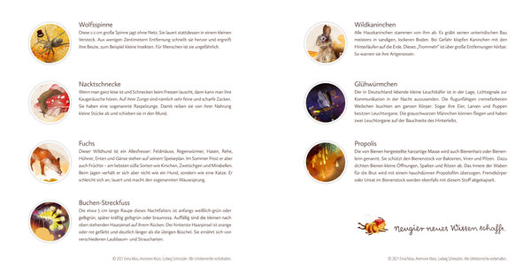 Eine Seite Wissen aus "Die kleine Herbstbiene"